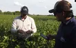 El Ing. Vicente Battaglia y el Ing. Marco San Martín, monitorean  un cultivo de soja y recogen datos.