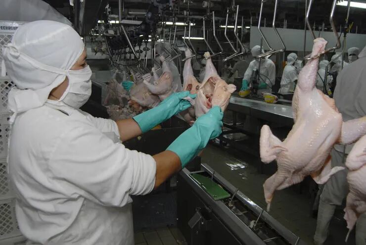 La producción y comercialización de carne de pollo reportó un buen crecimiento en la última década.