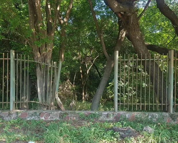 Parte del enrejado del Jardín Botánico y Zoológico de Asunción que fue robada.