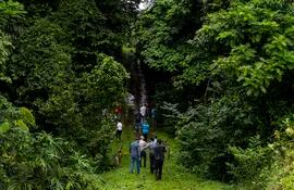 Un grupo de turistas camina en una granja donde las vegetación compensa la huella de carbono de sus visitantes, en Heredia, Sarapiqui, Costa Rica.