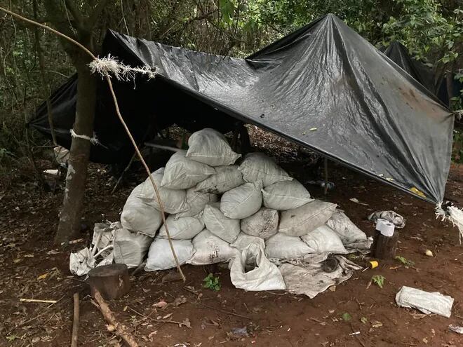 Bolsas arpilleras que contenía marihuana picada halladas en colonia Ñandejara Puente departamento de Amambay