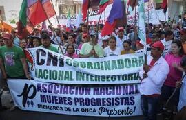 Los miembros de la Plenaria Nacional de Organizaciones Campesinas e Indígenas se movilizarán el próximo 30 de marzo en Asunción.