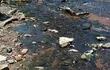 La aparición de peces muertos causó susto e indignación entre los vecinos del barrio Yukyty de Lambaré, ante el alto grado de contaminación visible en el arroyo Lambaré.