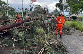 Tormentas con fuertes vientos derribaron árboles, mataron a una persona y dejaron sin electricidad a cientos de miles de hogares y negocios en el este de Australia, dijeron funcionarios.
