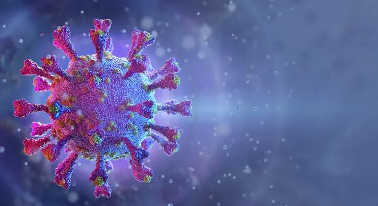 Brasil llegó este martes a las 240.000 muertes relacionadas al nuevo coronavirus y se aproxima con rapidez a los diez millones de casos confirmados.