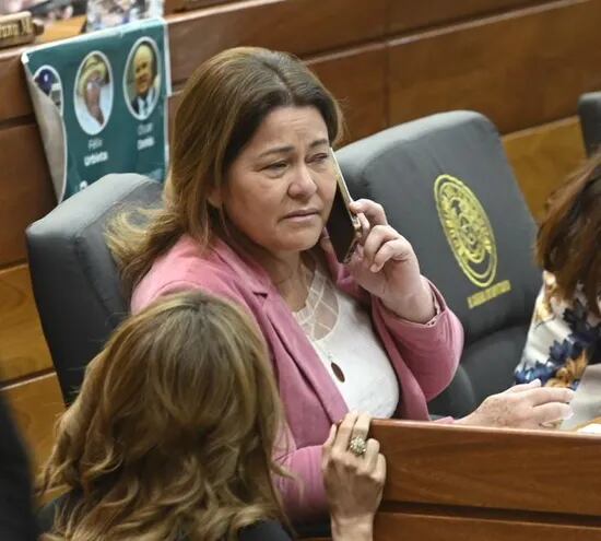 La diputada colorada Cristina Villalba durante una sesión en la Cámara de Diputados.