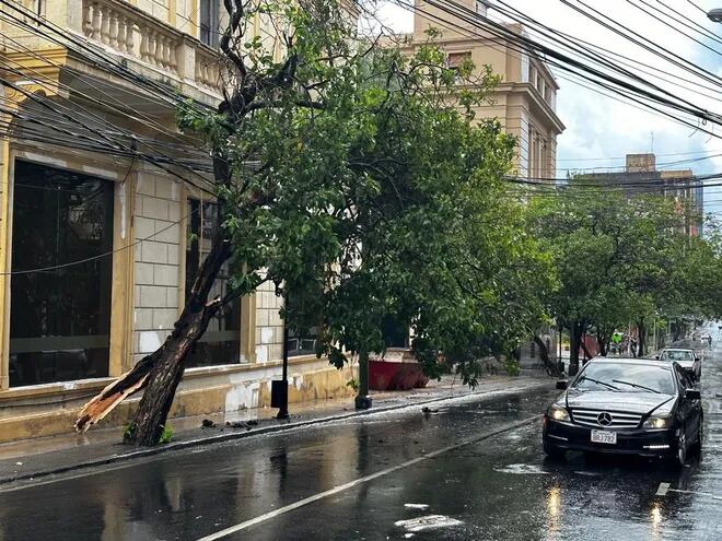Con cada tormenta, Asunción se convierte en un desastre, con árboles caídos y calles destrozadas.