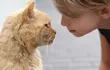 A muchos gatos no les gusta el constante contacto con sus “humanos” , aún cuando son ellos mismos quienes parecen buscarlo.