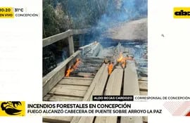 Fuego de incendios forestales afectan a puente en Concepción
