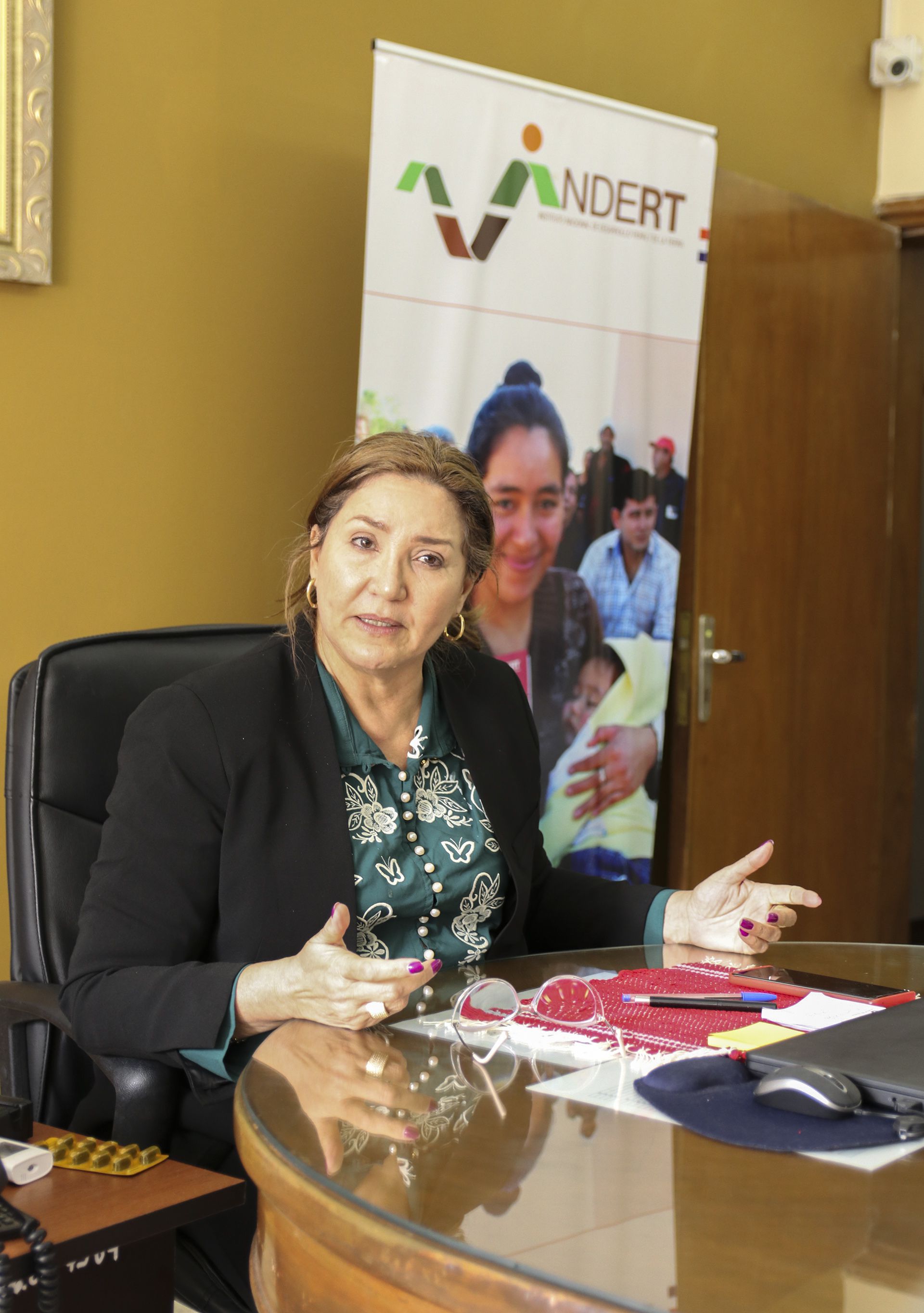 Abog. Gail González Yaluff, presidente el Indert.