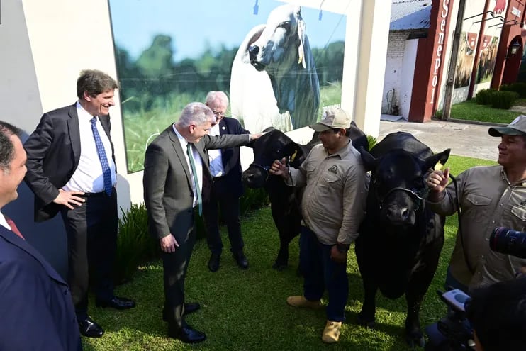 El embajador en Paraguay, Marc Ostfield, con el viceministro para el Crecimiento Económico, Energía y Medio Ambiente del Departamento de Estado de los EEUU, José W. Fernández y el presidente de la ARP, entre otros, observan ejemplares bovinos de alta genética, ayer en la Rural, durante la visita de la delegación norteamericana.