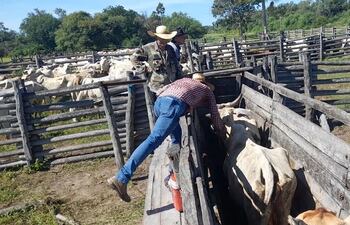 fotos Olimpo
De calmiron <calmiron@abc.com.py>
Destinatario foto@abc.com.py
Fecha 25-03-2024