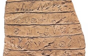 El libro de las letras