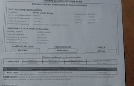 El informe laboratorial del Senacsa confirmó que la muerte del ganado fue causada por rabia bovina.