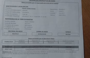El informe laboratorial del Senacsa confirmó que la muerte del ganado fue causada por rabia bovina.
