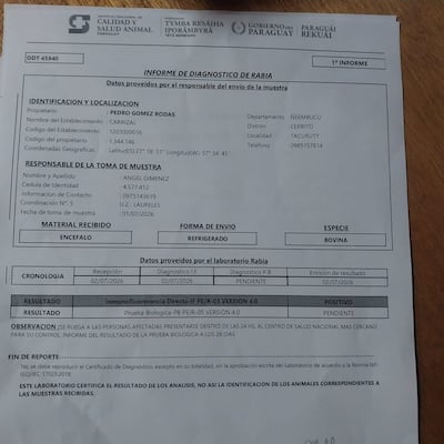 El informe laboratorial del Senacsa confirmó que la muerte del ganado fue causada por rabia bovina.