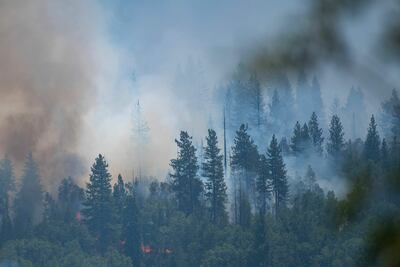 Incendio forestal en el parque nacional Yosemite, en California, en julio del año pasado.