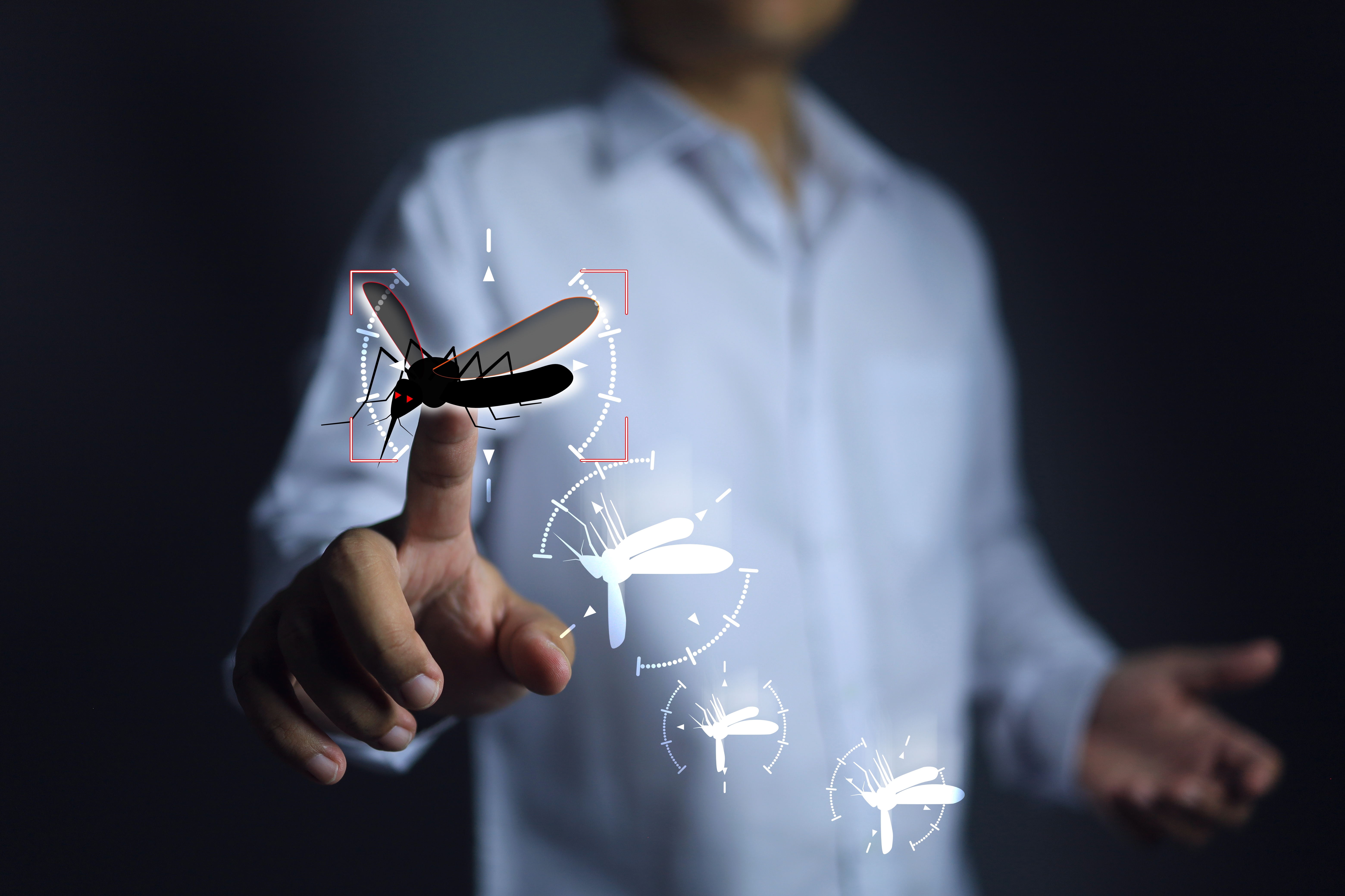 Mosquito transmisor de paludismo, imagen ilustrativa.