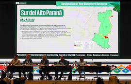 UNESCO anunció oficialmente, este viernes, la designación como Reserva de Biosfera a la Reserva Sur del Alto Paraná.