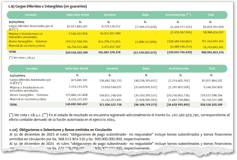 El mayor aumento en un año se da en mejoras e instalaciones en inmuebles arrendados y bienes intangibles (sistema).