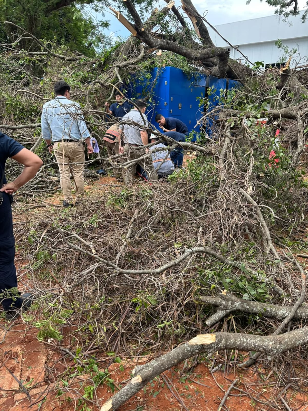 Hombre quedó atrapado bajo un árbol durante temporal en San Lorenzo
