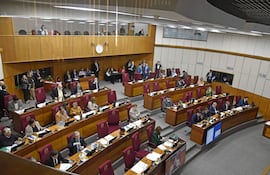 Sesión de la cámara de senadores en el congreso nocional.