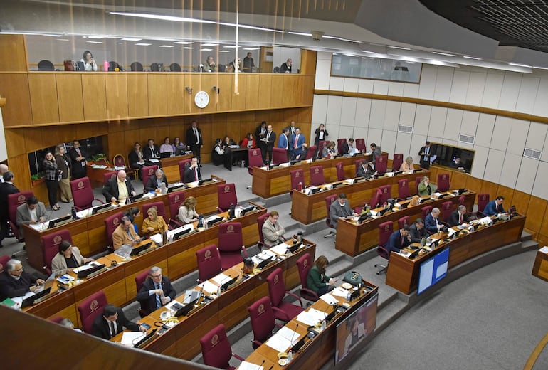 Sesión de la cámara de senadores en el congreso nocional.