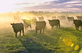 El sector ganadero ante el 2026: resiliencia y visión estratégica