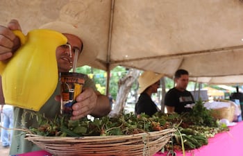 Este sábado se celebra el Día Nacional del Tereré y en varios espacios de Asunción habrá oportunidades para recargar tu guampa y tu termo, además de conocer más acerca de esta tradicional bebida.