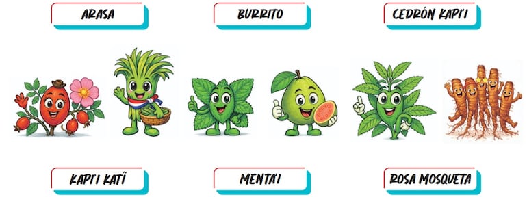 Imagen sin descripción