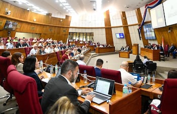 Audiencia Pública sobre el proyecto de ley de reforma de la Caja Fiscal, en Cámara de Diputados.