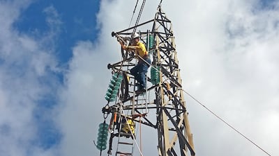 El caso más claro es el de la electricidad, donde la Carta Orgánica de la Administración Nacional de Electricidad (ANDE) le otorga la exclusividad del abastecimiento público de energía eléctrica y alumbrado.