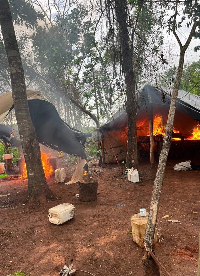 Por dispoisción del agente fiscal Juan Benegas las plantas que fueron cortadas y los campamentos precarios fueron quemados en el sitio.