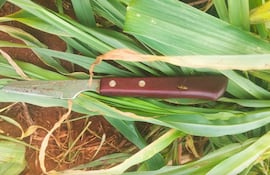 Este cuchillo fue encontrado cerca del cuerpo de la joven fallecida.