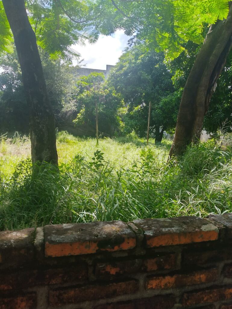 /pf/resources/images/abc-placeholder.png?d=2395