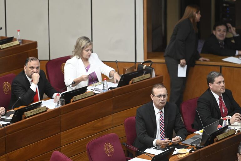 Erico Galeano en la sesión de la Cámara de Senadores