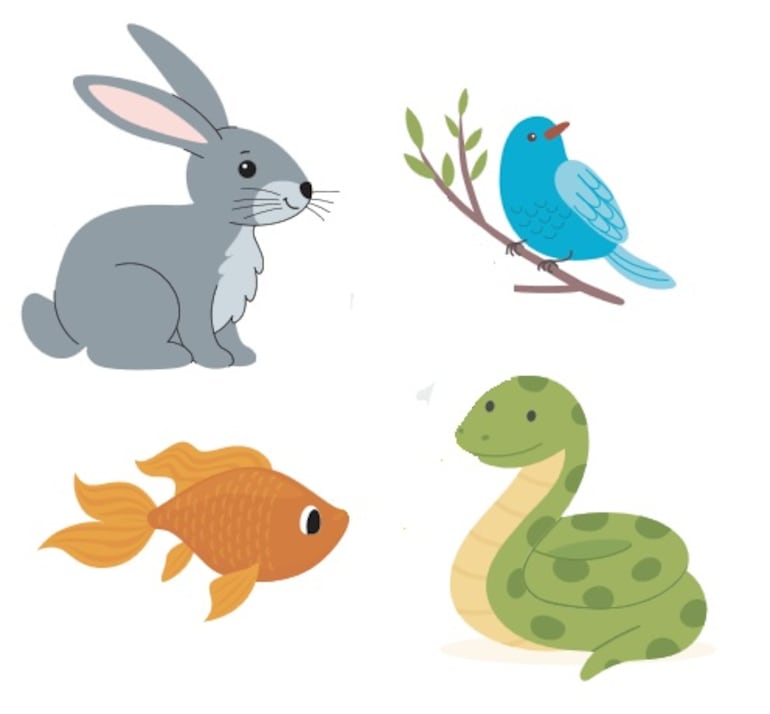 Conejo, ave, pez y serpiente.