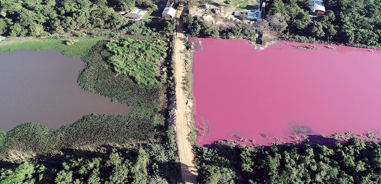 La laguna Cerro de Limpio cambio a rojo su color  a causa de una supuesta contaminación, de acuerdo con la fiscalía.