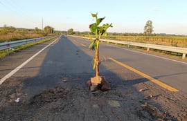 Proyectan declarar emergencia vial en la destruida Ruta de la Fe.