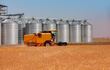 Trigo 2026: menos hectáreas, pero esperanza en el precio