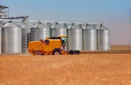 Trigo 2026: menos hectáreas, pero esperanza en el precio