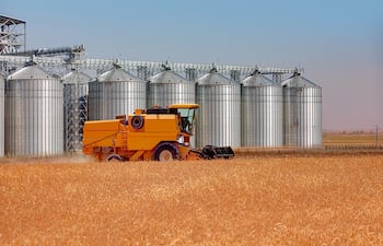 Trigo 2026: menos hectáreas, pero esperanza en el precio