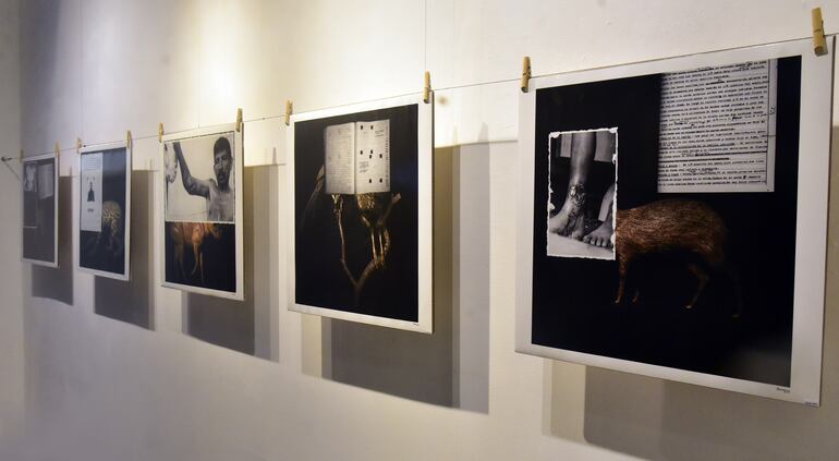 Obras de Alfredo Quiroz.