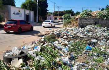Este predio baldío, ubicado en la calle Tres Fronderas, límite entre Ñemby y San Antonio, es un utilizado como vertedero de basura y genera quejas de los moradores.