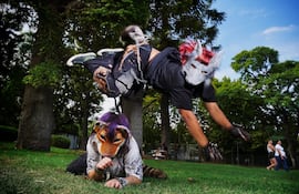 Imagen ilustrativa: un therian saltando sobre otro en el Parque Centenario de Argentina.
Foto: Clarín - Martín Bonetto