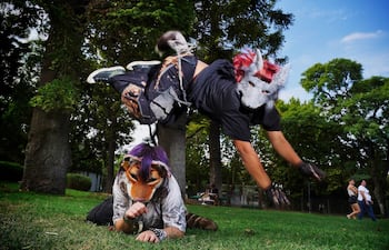 Imagen ilustrativa: un therian saltando sobre otro en el Parque Centenario de Argentina.
Foto: Clarín - Martín Bonetto