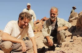 Alnashetri cerropoliciensis.