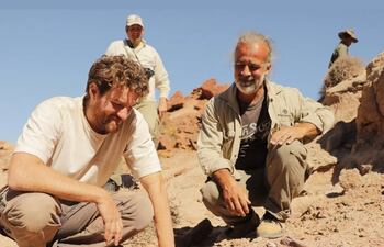 Alnashetri cerropoliciensis.