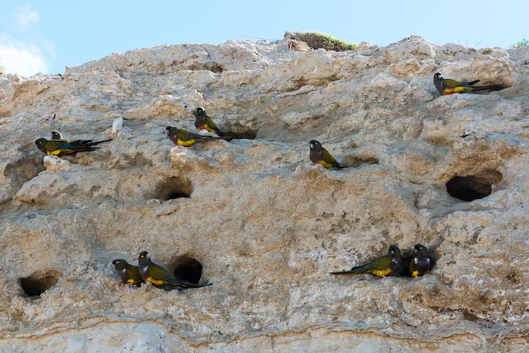 Las Grutas, Río Negro, Patagonia argentina.