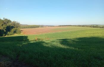 Empresario reclama por inacción de la justicia ante supuestas amenazas que recibió en un caso de invasión de tierras